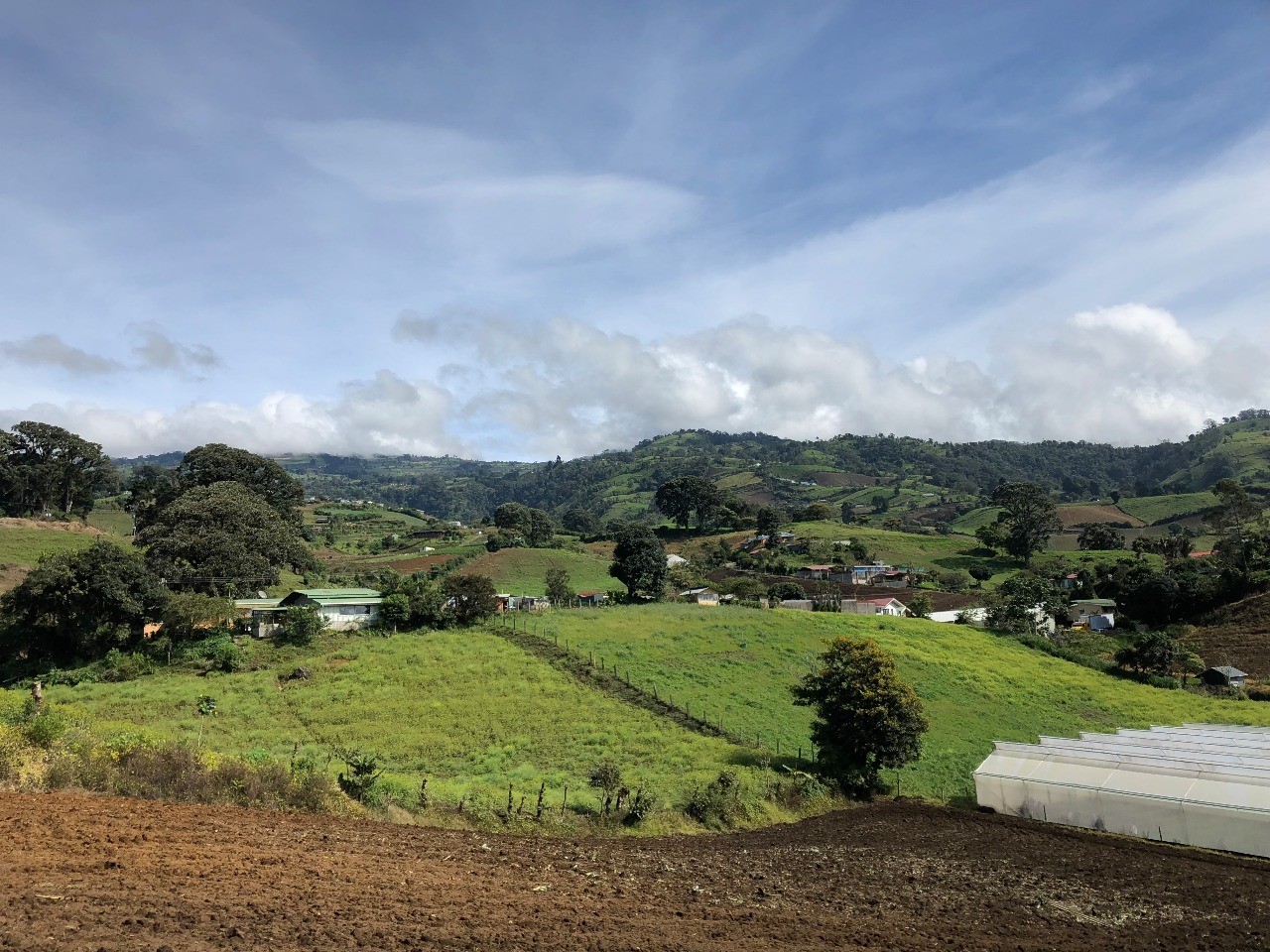 OCDE recomienda a Costa Rica “profundizar” la diversificación agrícola