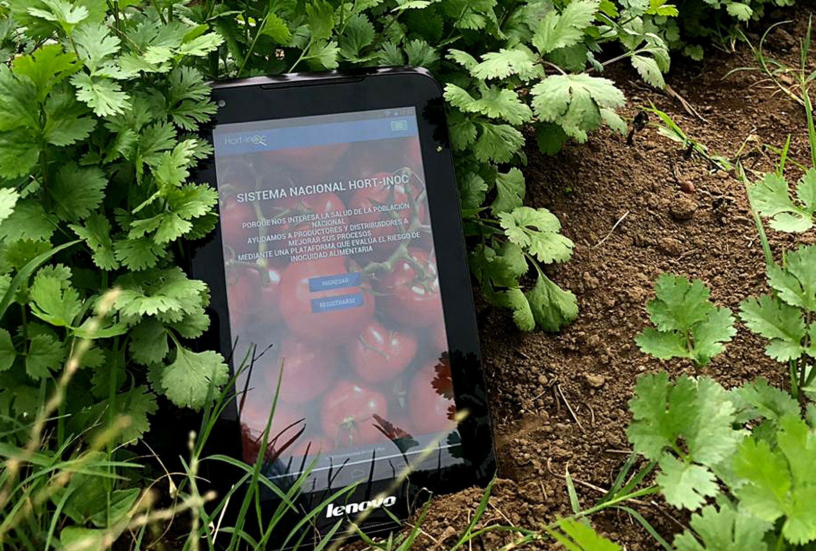 Hort-inoc, primera herramienta digital para evitar contaminación de hortalizas