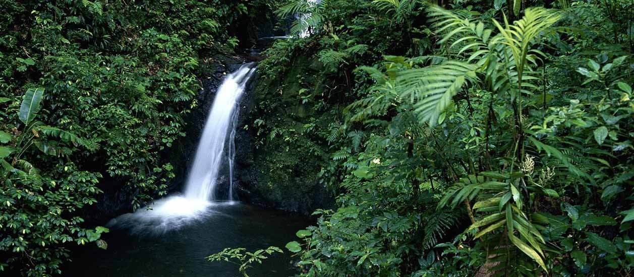 Monteverde está entre los 25 lugares más bellos del mundo, según CNN en Español