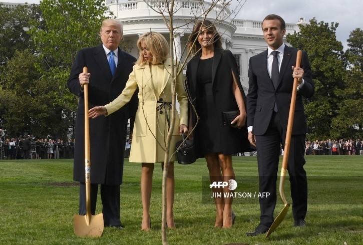 Muere árbol que plantaron Trump y Macron como señal de amistad