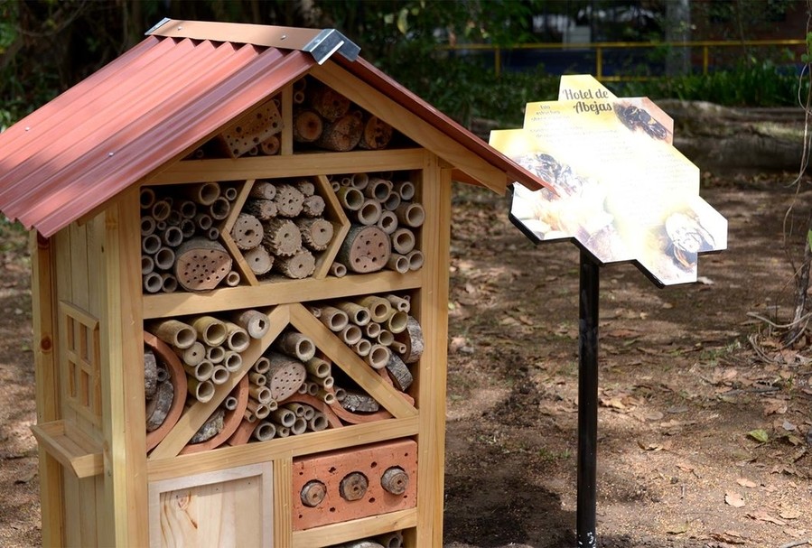 Hoteles de abejas: una alternativa para su conservación