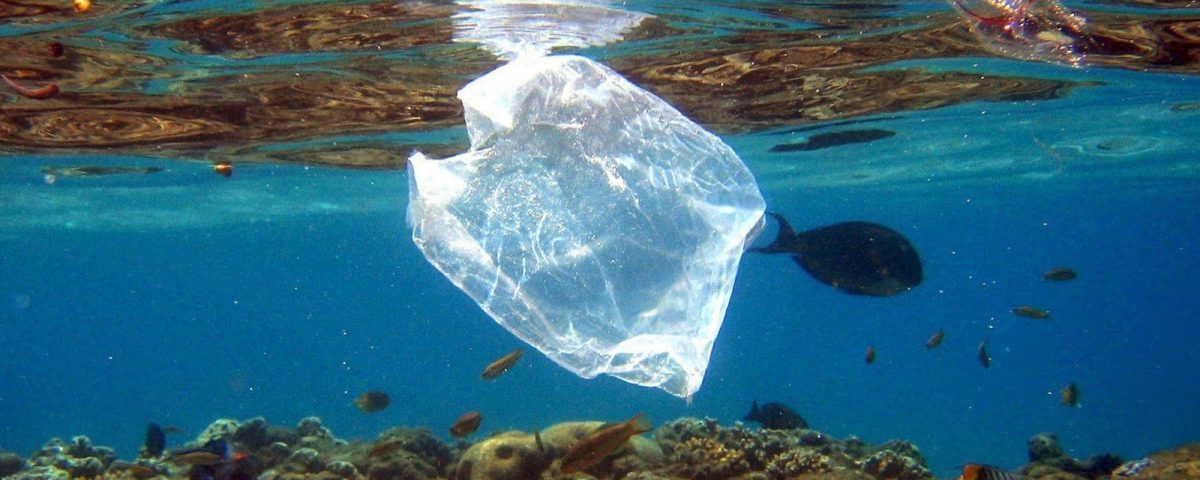 Proyecto para prohibir bolsas plásticas y pajillas en el país avanza en el Congreso