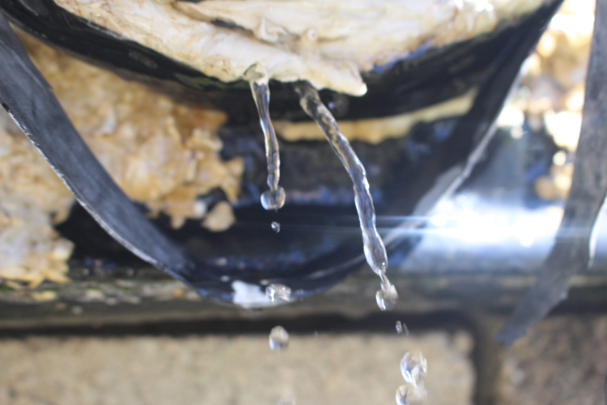 Racionamiento de agua afecta a más de 8 mil personas en Heredia