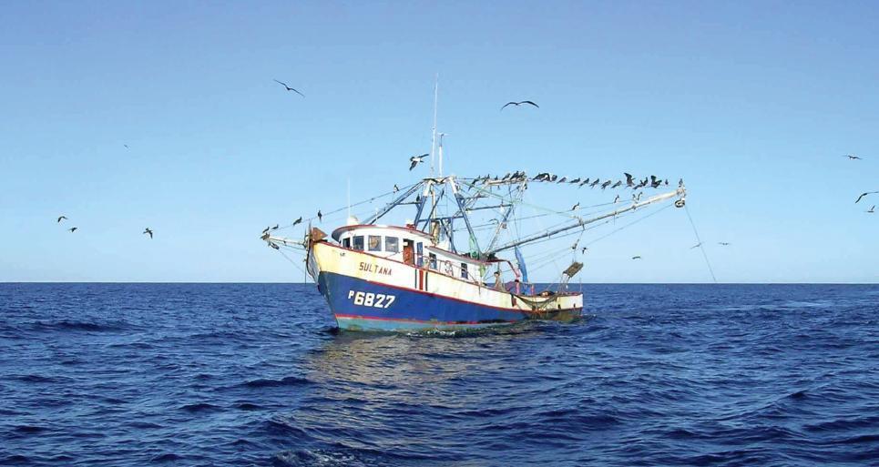 Presidencia se desmarca de plan de ley para  pesca de arrastre