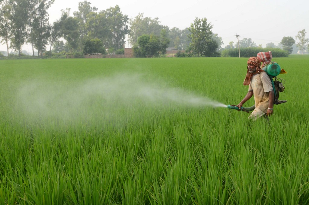 La Comisión Europea propondrá a Estados miembros prohibir insecticida chlorpyrifos