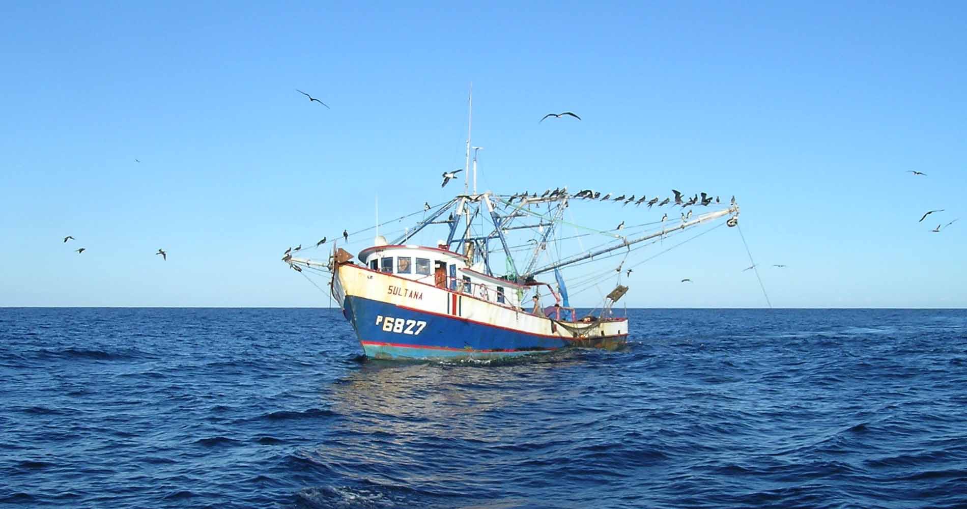 Lucha contra pesca de arrastre estará presente en marcha por el ambiente