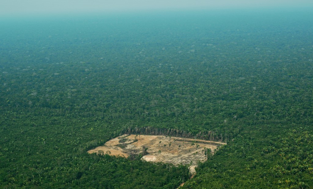 Deforestación en Amazonía de Brasil bate récord desde 2008
