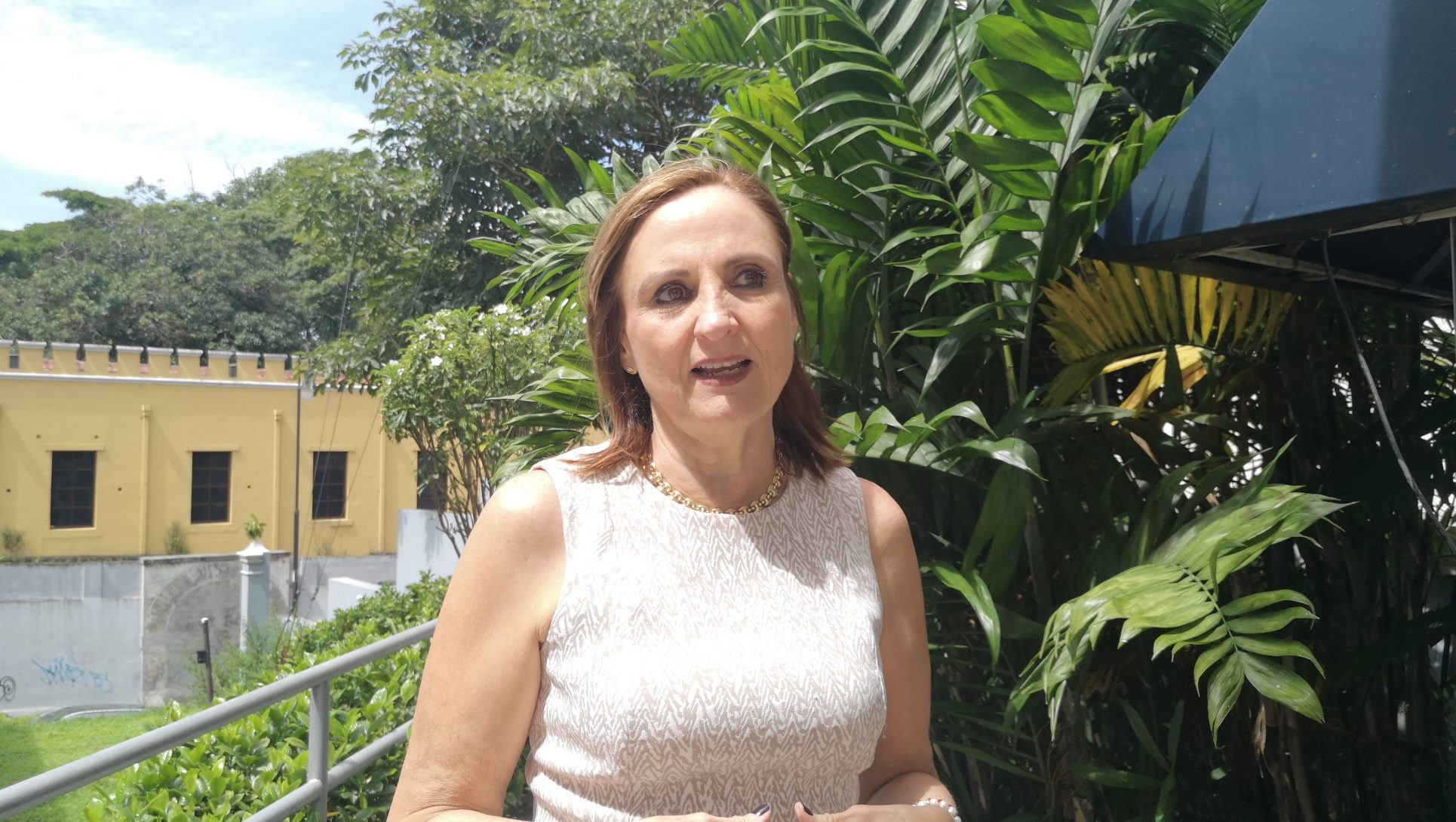 Exdiputada Zoila Volio, reservista de la Fuerza Pública ante llamado de Chaves: “no es nuevo, ni es nada extraordinario”