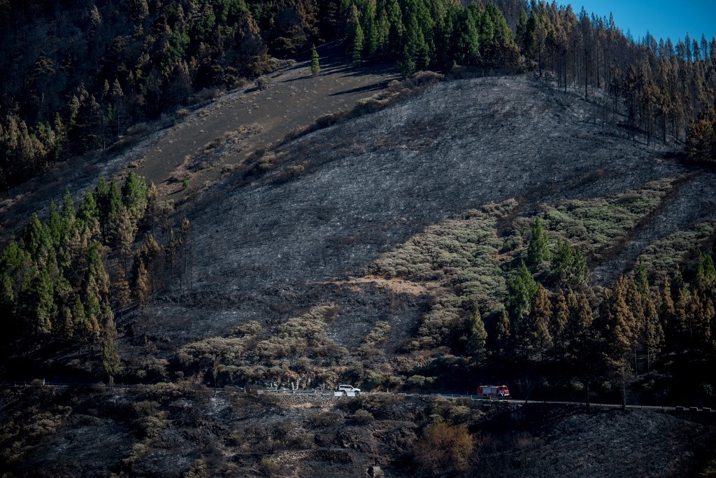 Incendio sin control provoca “drama medioambiental” en Canarias