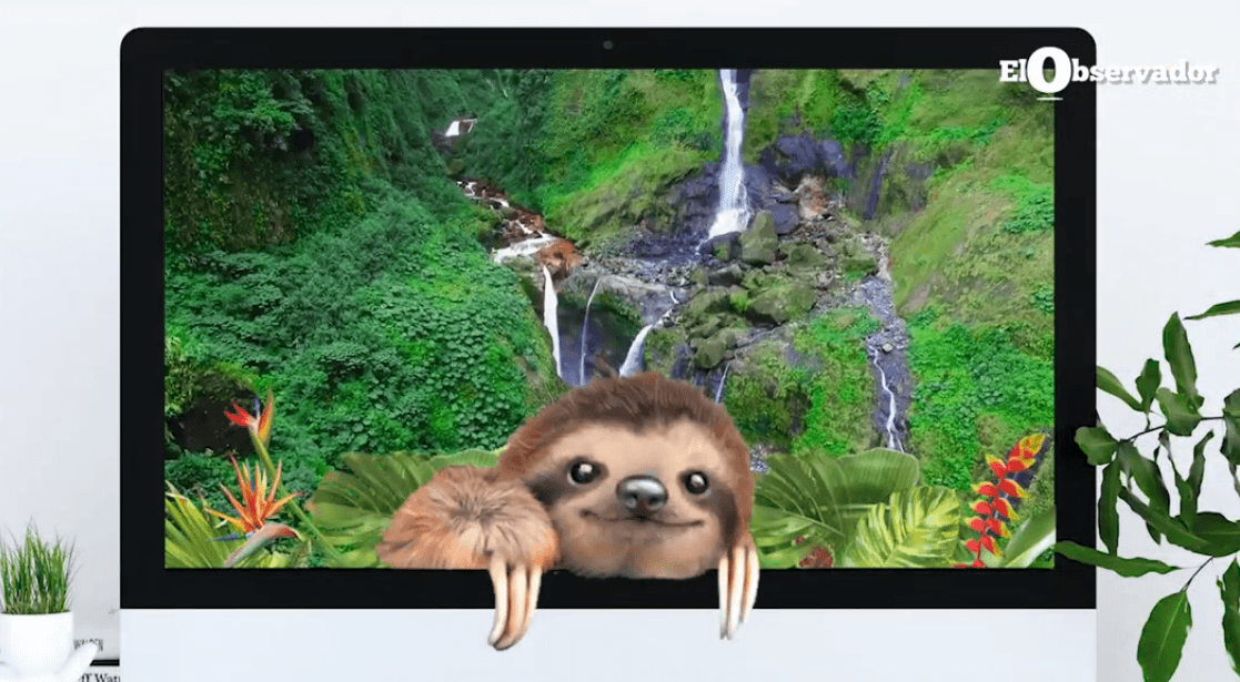 Mr. Sloth, el perezoso que responderá las consultas de los turistas para que conozcan Costa Rica