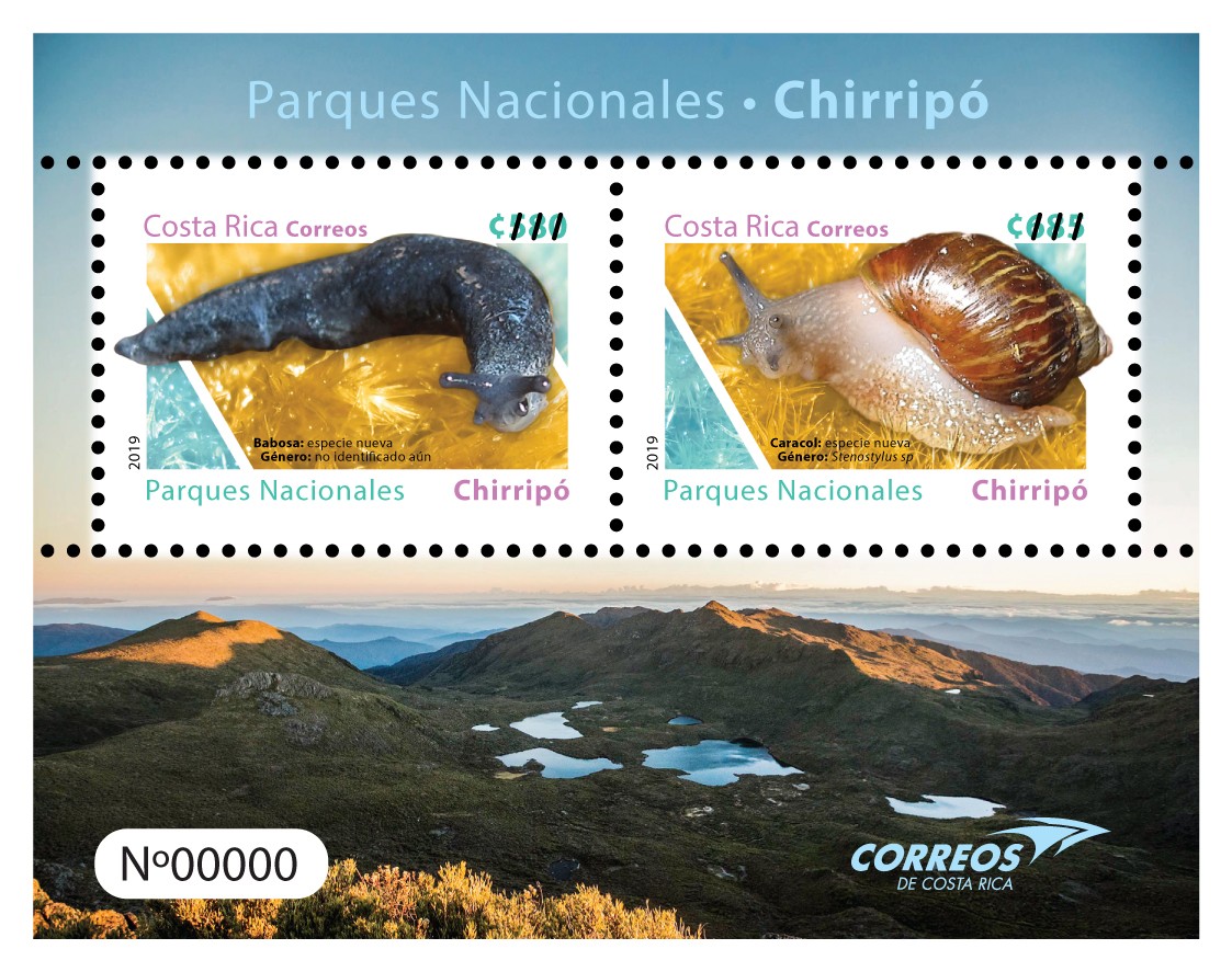 Dos especies descubiertas en el Chirripó serán los nuevos sellos postales