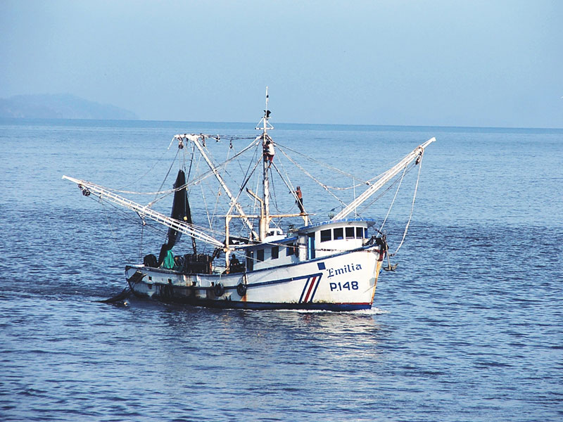 Ambientalistas celebran vencimiento de la última licencia de pesca de arrastre