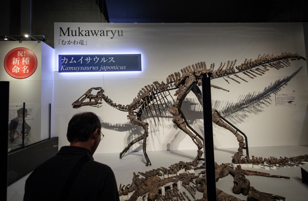 Encuentran nueva especie de dinosaurio en Japón