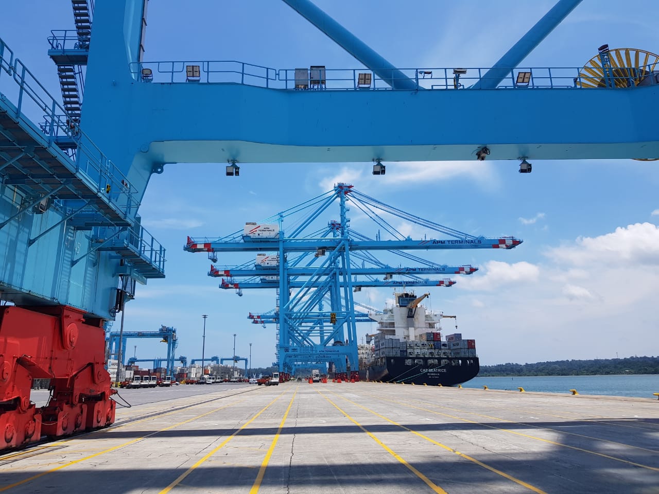 Empresarios insisten en propuestas al Gobierno para bajar costos de transporte marítimo