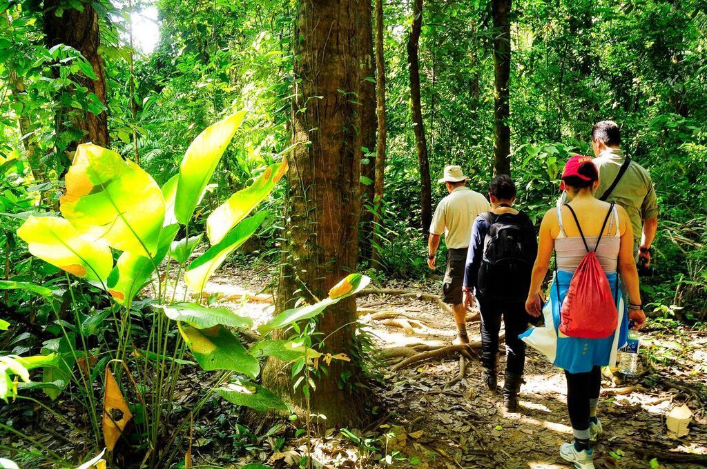 Competitividad turística de Costa Rica desciende en ranking mundial