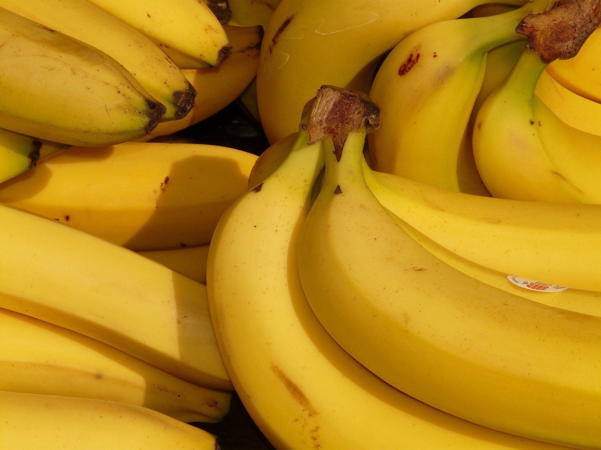 Sector bananero logró récord de exportaciones y protección de empleos durante pandemia