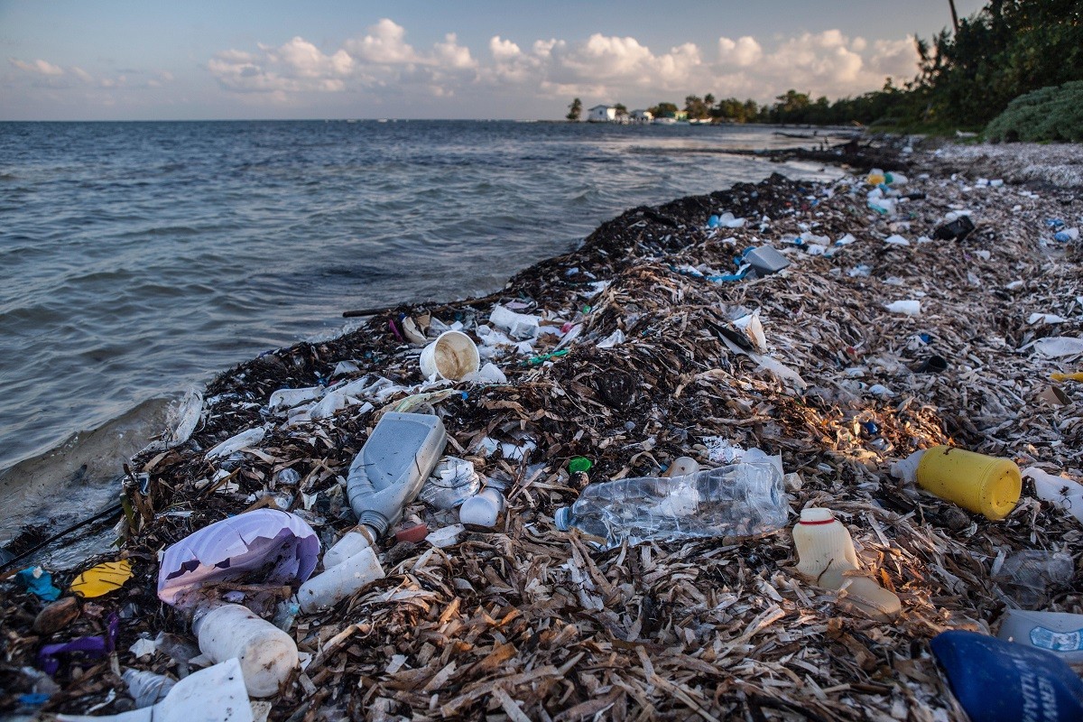La pandemia agrava en México el uso del plástico, enemigo de los océanos