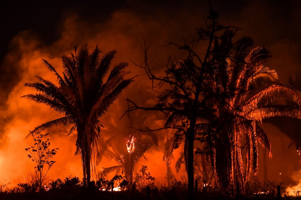Incendios de dimensiones nunca vistas devoran parte del Pantanal brasileño