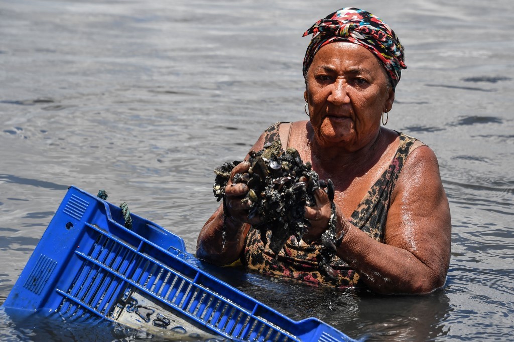 El drama de los pescadores afectados por el petróleo en las playas de Brasil
