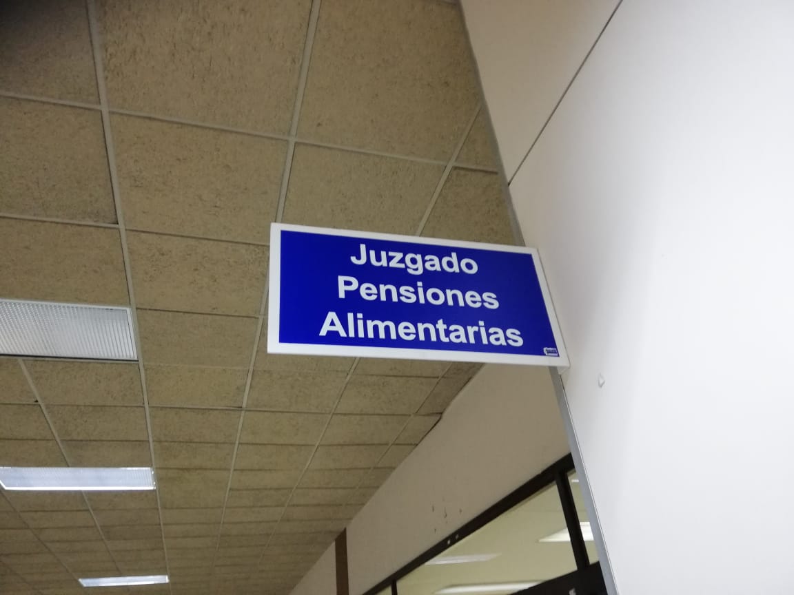 Diputada Paola Vega propone suspender apremio corporal y subsidiar pensiones alimentarias con dinero de Fonatel