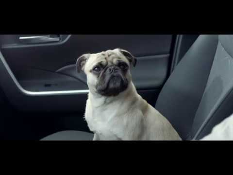 La campaña publicitaria “Pugdy, un perro con energía infinita” triunfó en los premios Effie