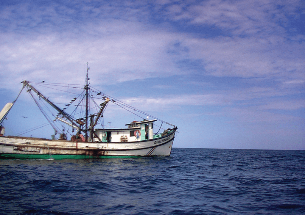 Ante duras críticas, diputados defienden pesca de arrastre