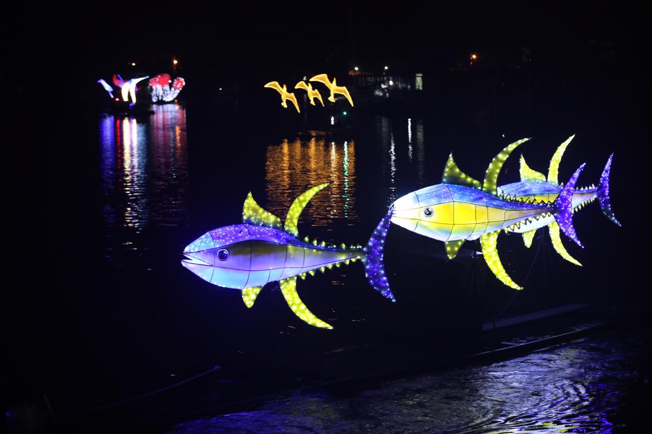 Mar se llena de luz: Exponen esculturas flotantes en la Marina Pez Vela
