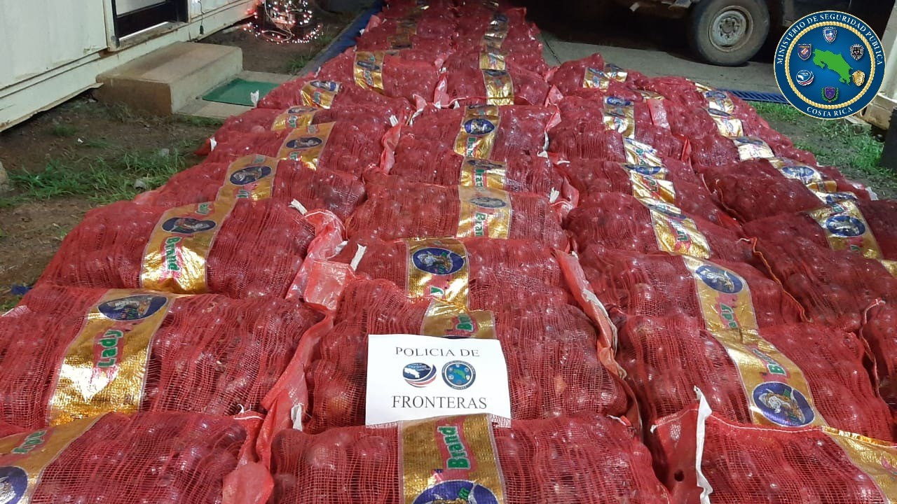 Autoridades decomisaron 12 toneladas de cebollas de contrabando en las últimas dos semanas