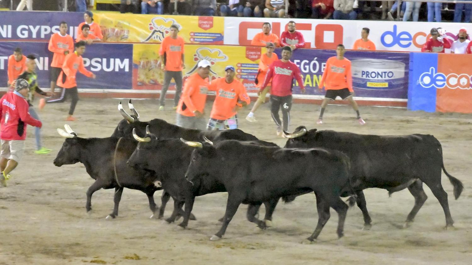 Por tercer año, Multimedios entrará al redondel a transmitir corridas de toro
