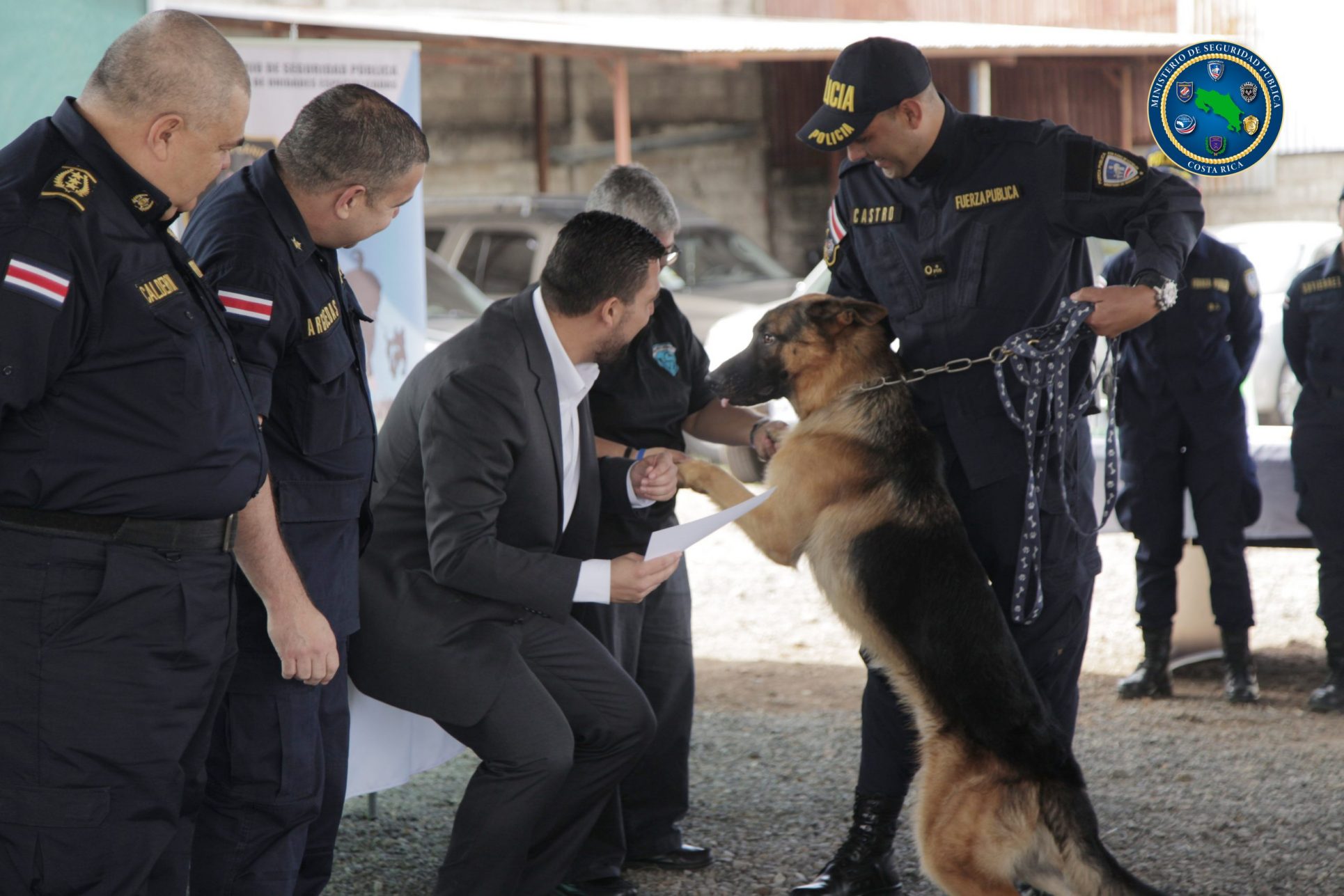 Baloo: el nuevo graduado de la Unidad Canina de la Fuerza Pública