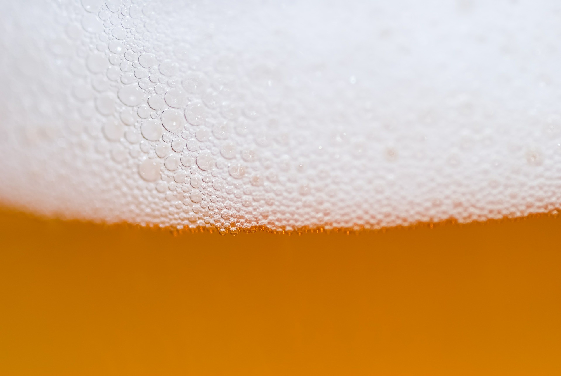 Ambar: una cerveza tica inspirada en la tradición alemana