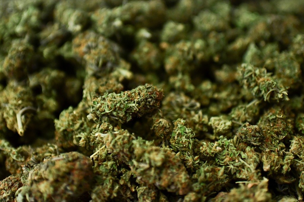 California quiere borrar 85.000 condenas por marihuana de los registros penales