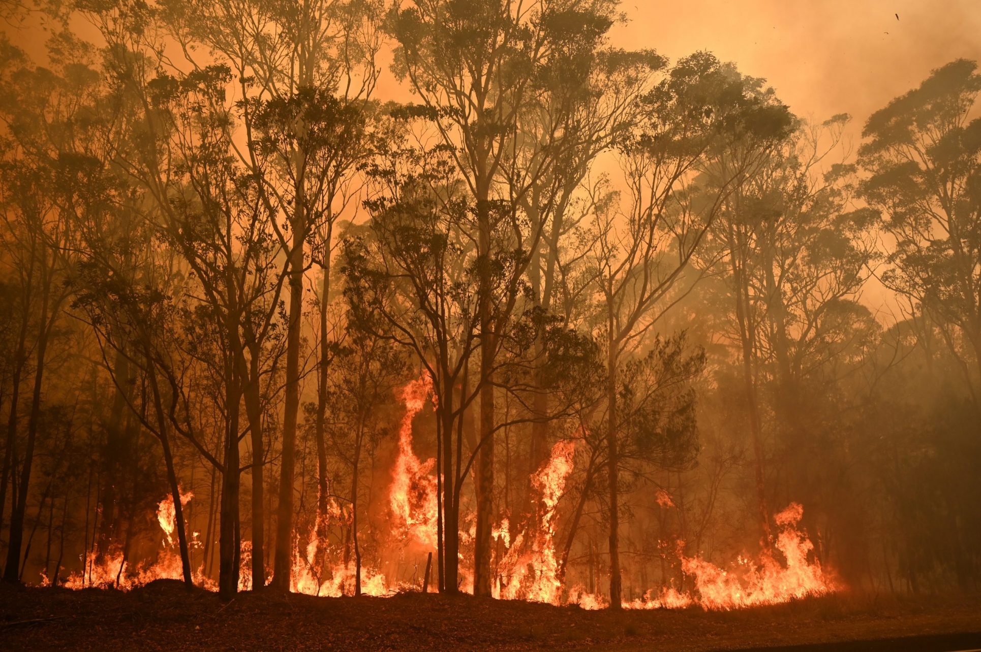 Cancillería descarta ticos afectados por incendios forestales que dejan 23 víctimas en Australia