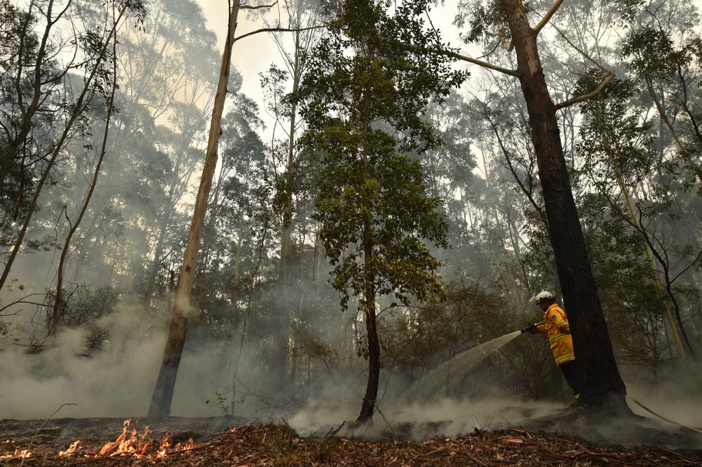 Famosos se movilizan para ayudar a víctimas de incendios en Australia