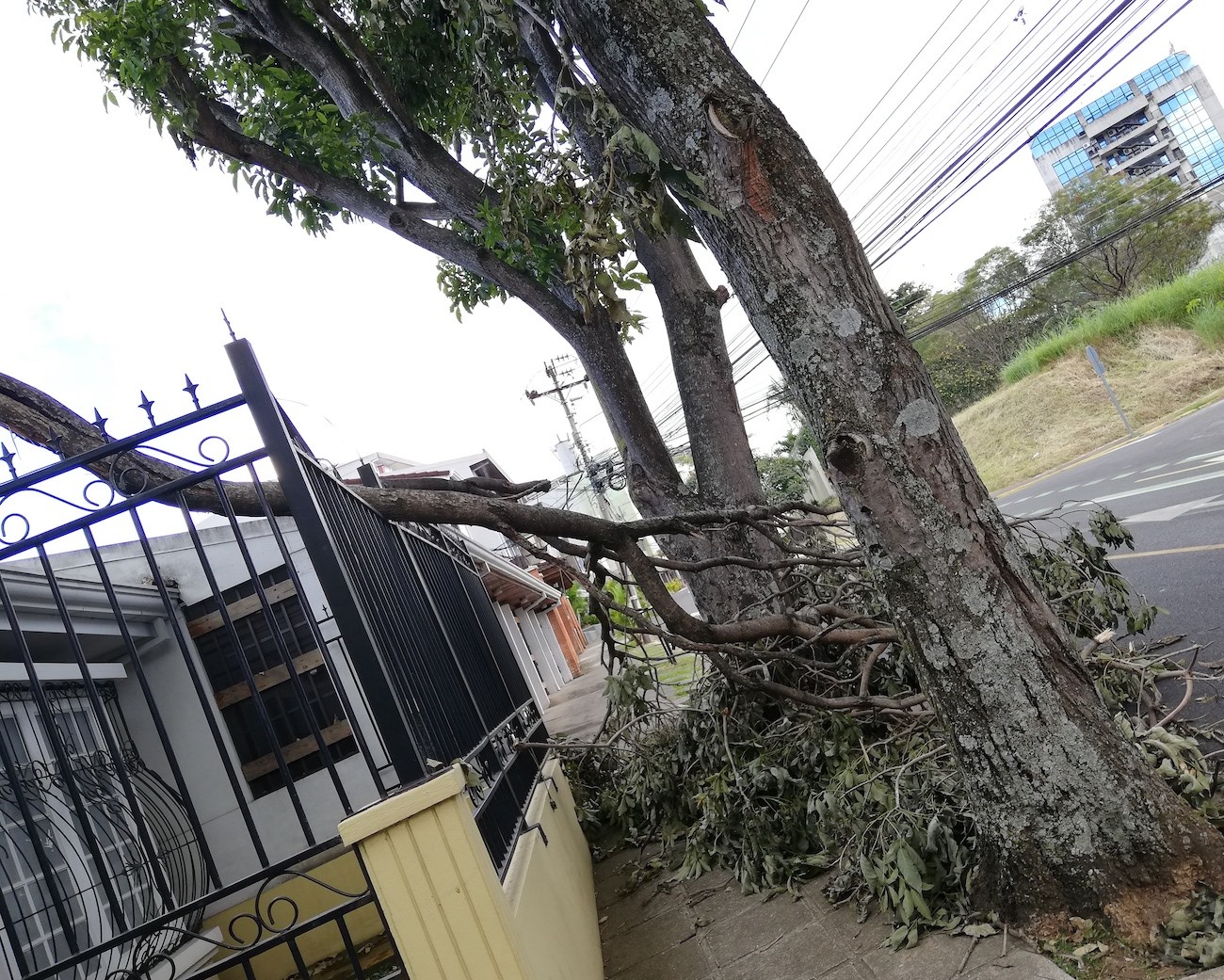 Averías eléctricas, cortocircuitos y caída de árboles fueron consecuencias del empuje frío en Costa Rica
