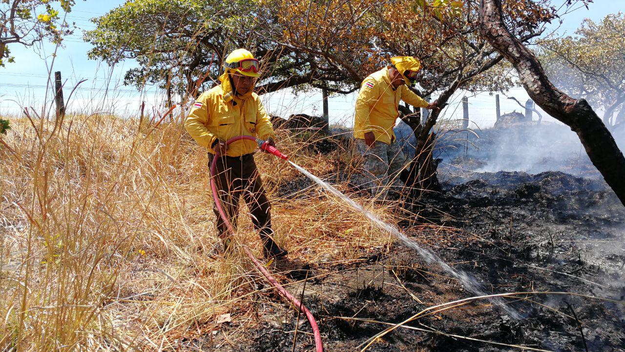 950 bomberos forestales atenderán incendios en la época seca que dio inicio este miércoles