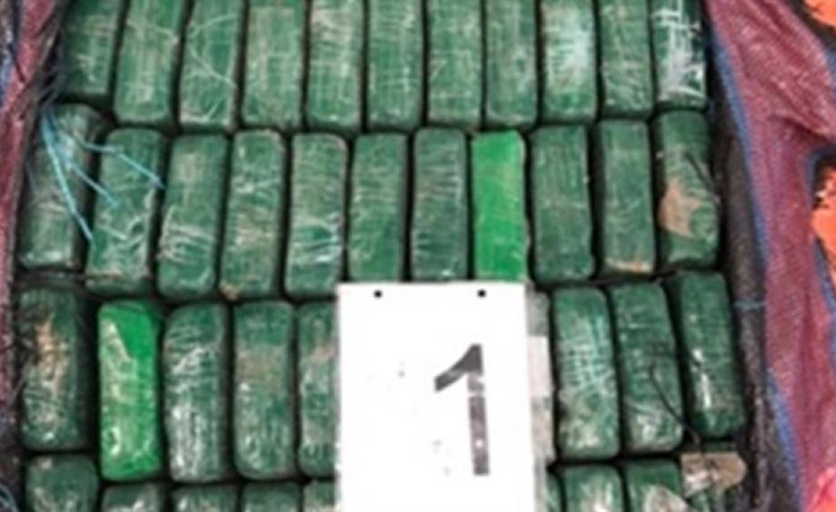 Autoridades holandesas hallan cocaína en cargamento de bananos que pasó por Costa Rica