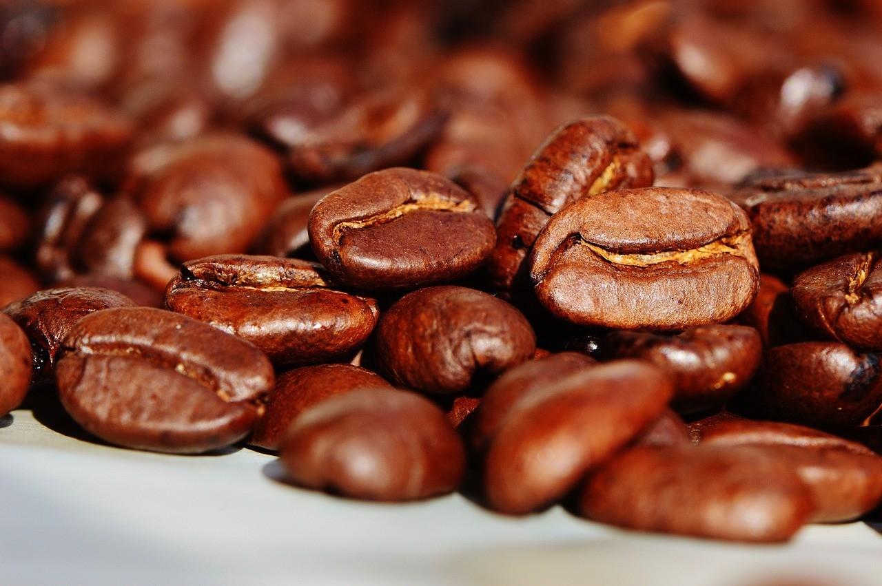 ¿Qué propone la iniciativa que modificaría la cadena de comercialización del café?