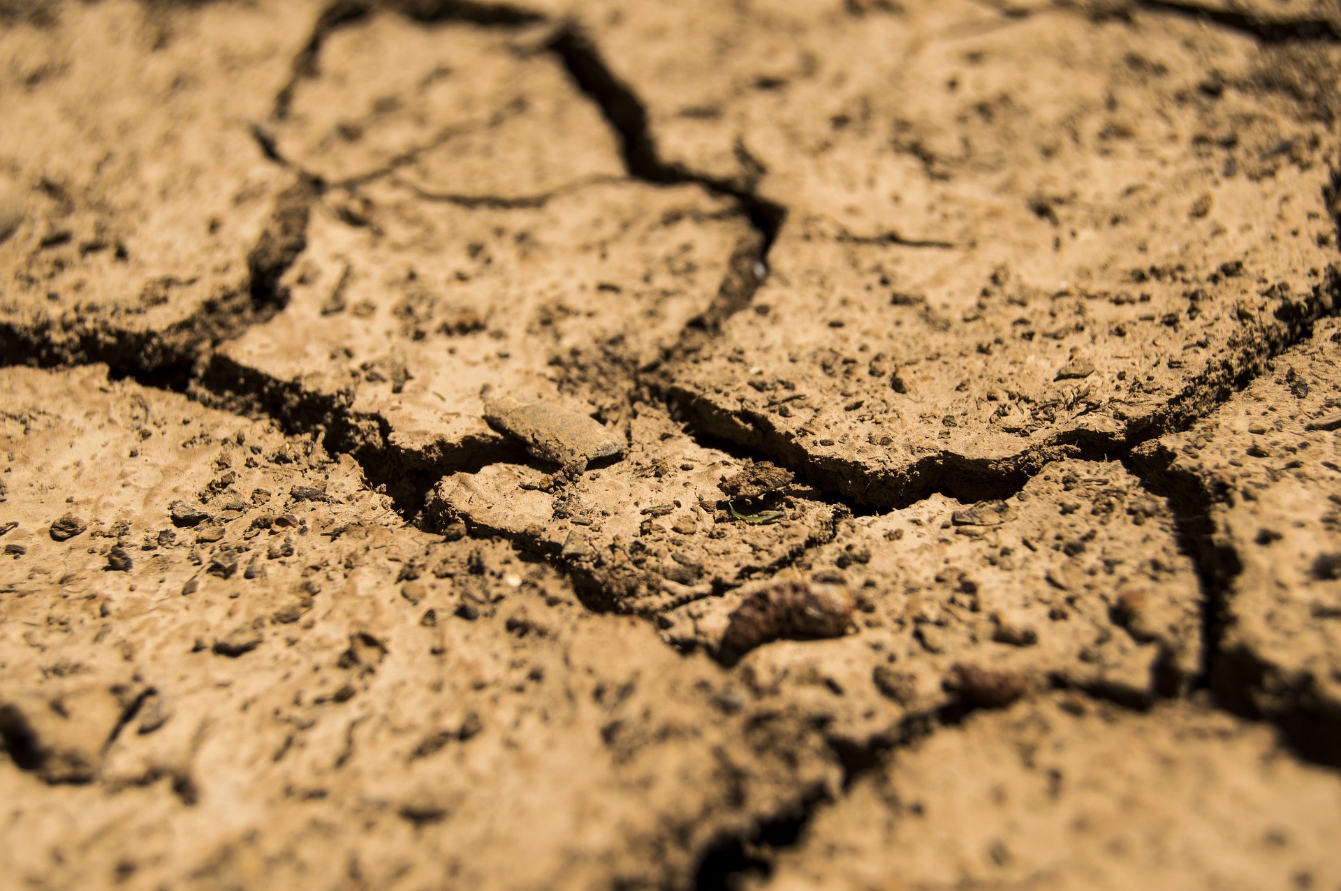 Centroamérica define medidas ante una sequía que se avecina