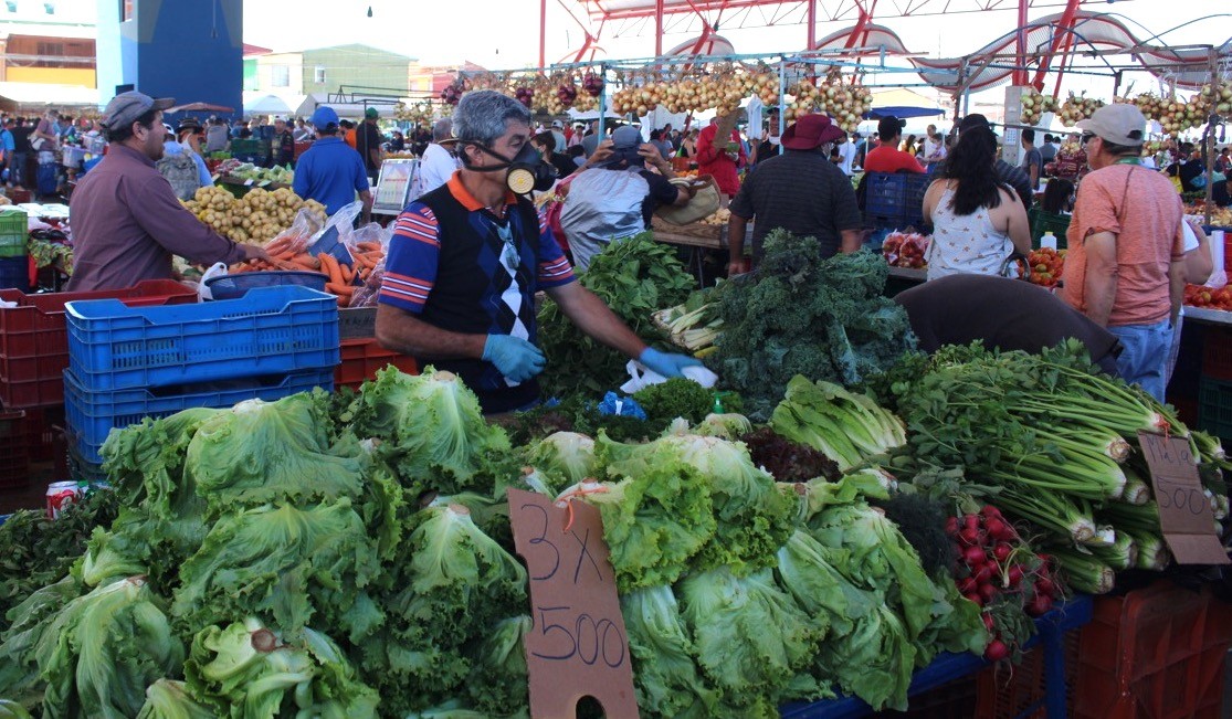 Centroamérica en riesgo de desabastecimiento de alimentos si la pandemia se prolonga, según experto