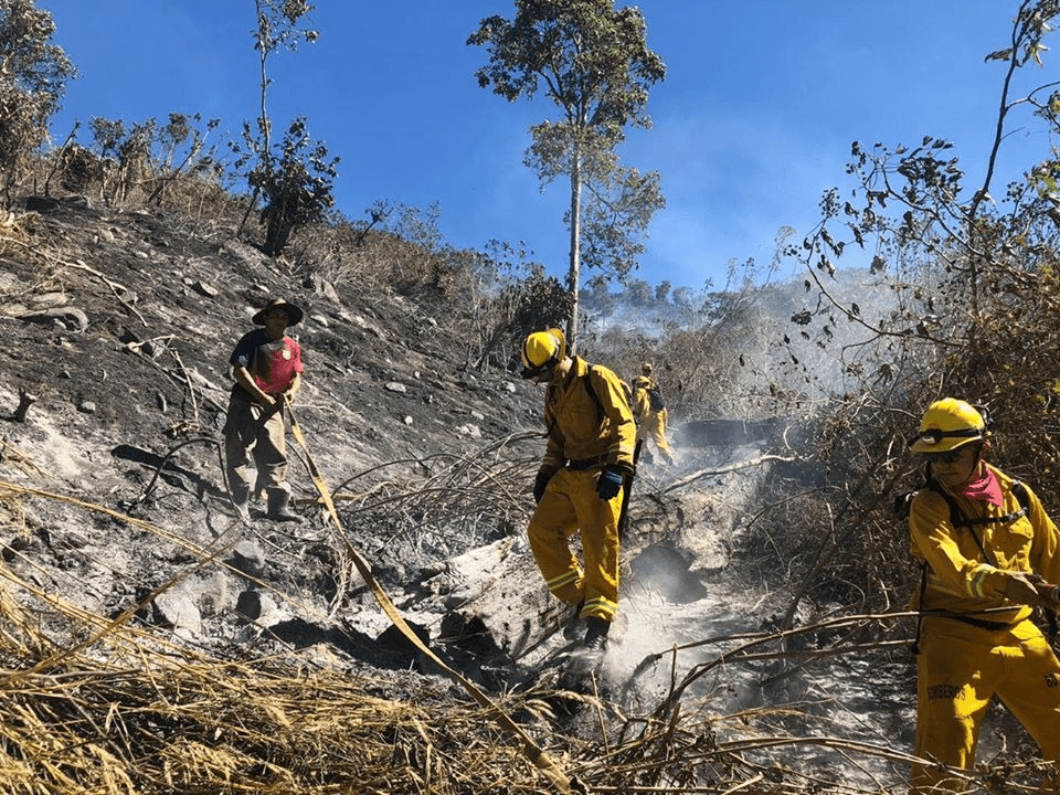 Controlado incendio que amenazaba al Parque Nacional Chirripó