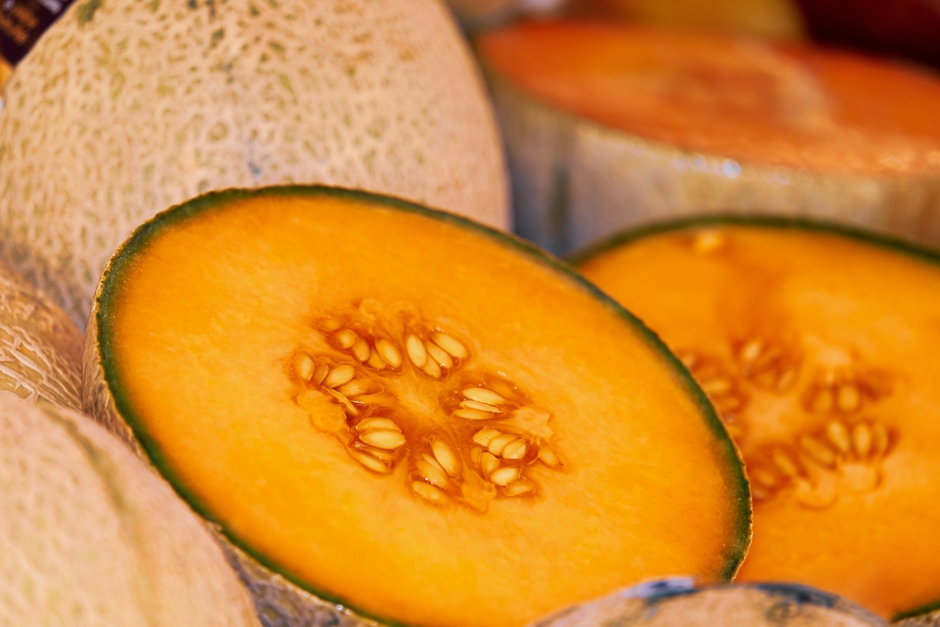 Servicio Fitosanitario investigará cuál empresa produjo el melón con residuos de agroquímico que causó alerta en Europa