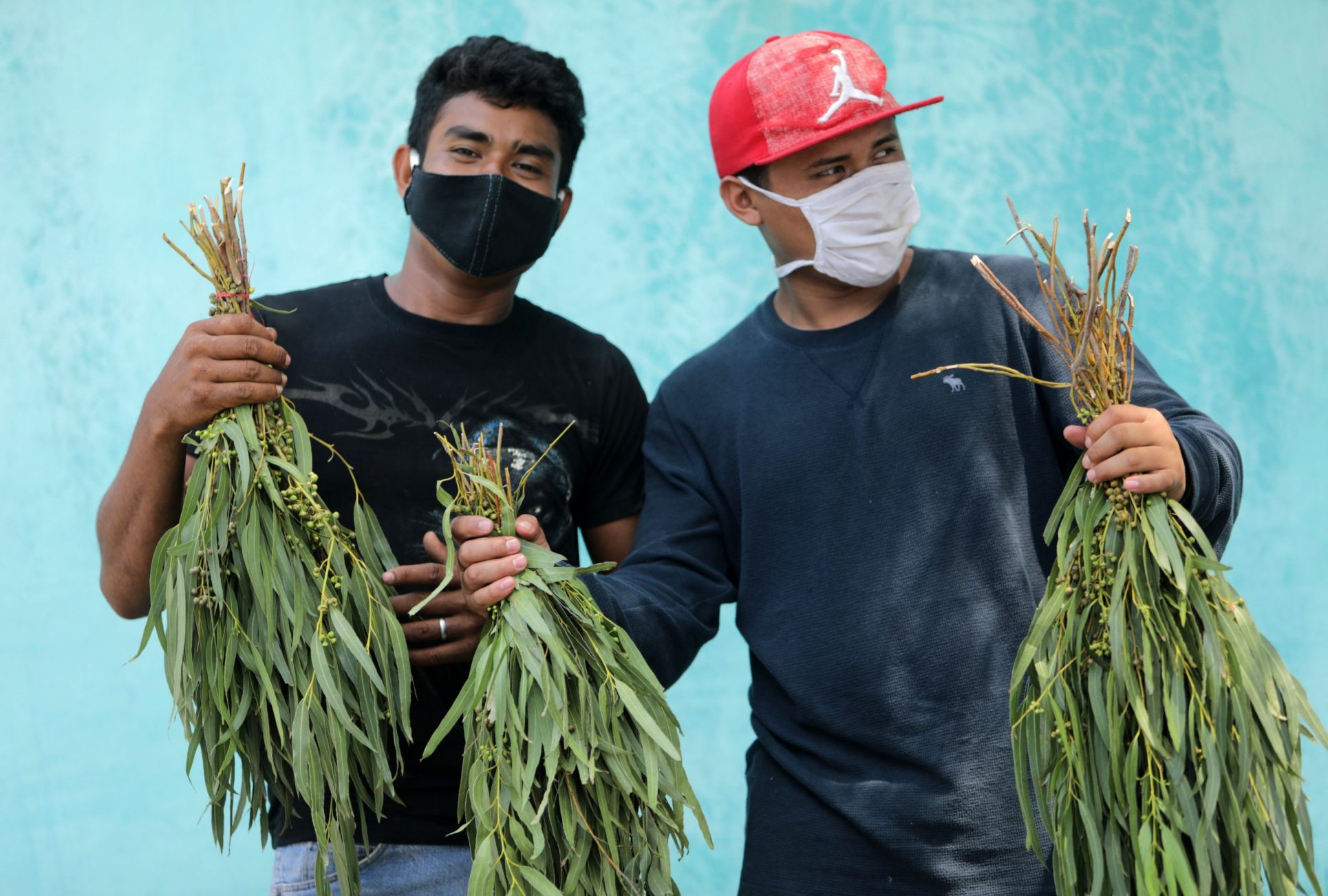 Gobierno de Nicaragua persigue a los que venden eucalipto como remedio para “combatir el coronavirus”