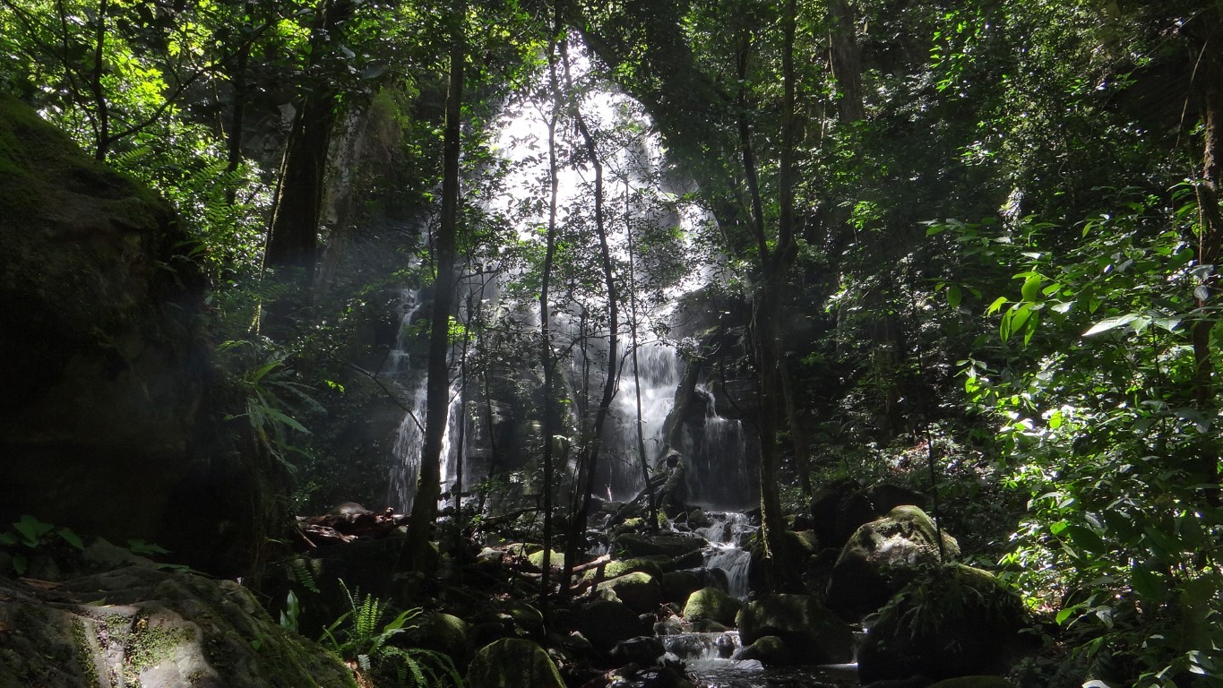 Visitantes del Parque Nacional Rincón de la Vieja tendrán menos de 3 horas para realizar el recorrido