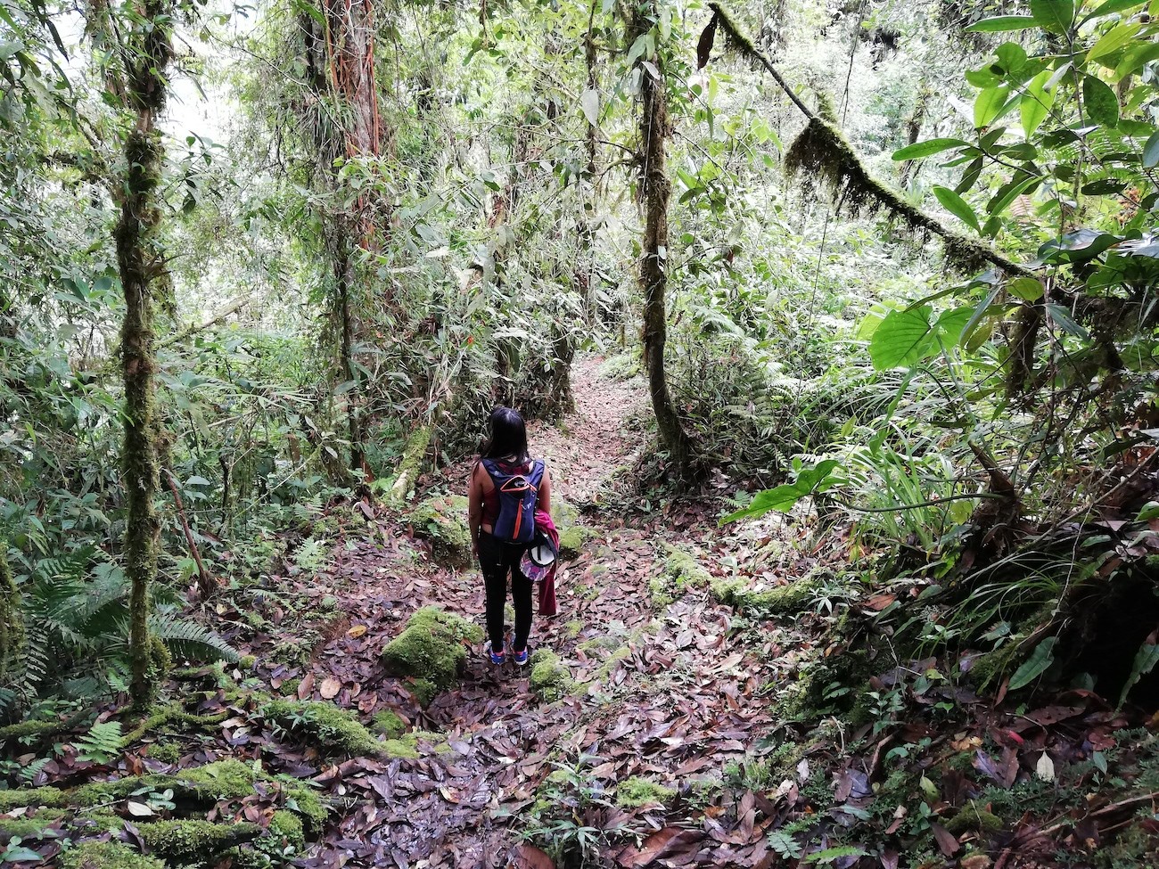 Concurso ‘Redescubre Costa Rica busca’ dará fondos a propuestas de turismo sostenible