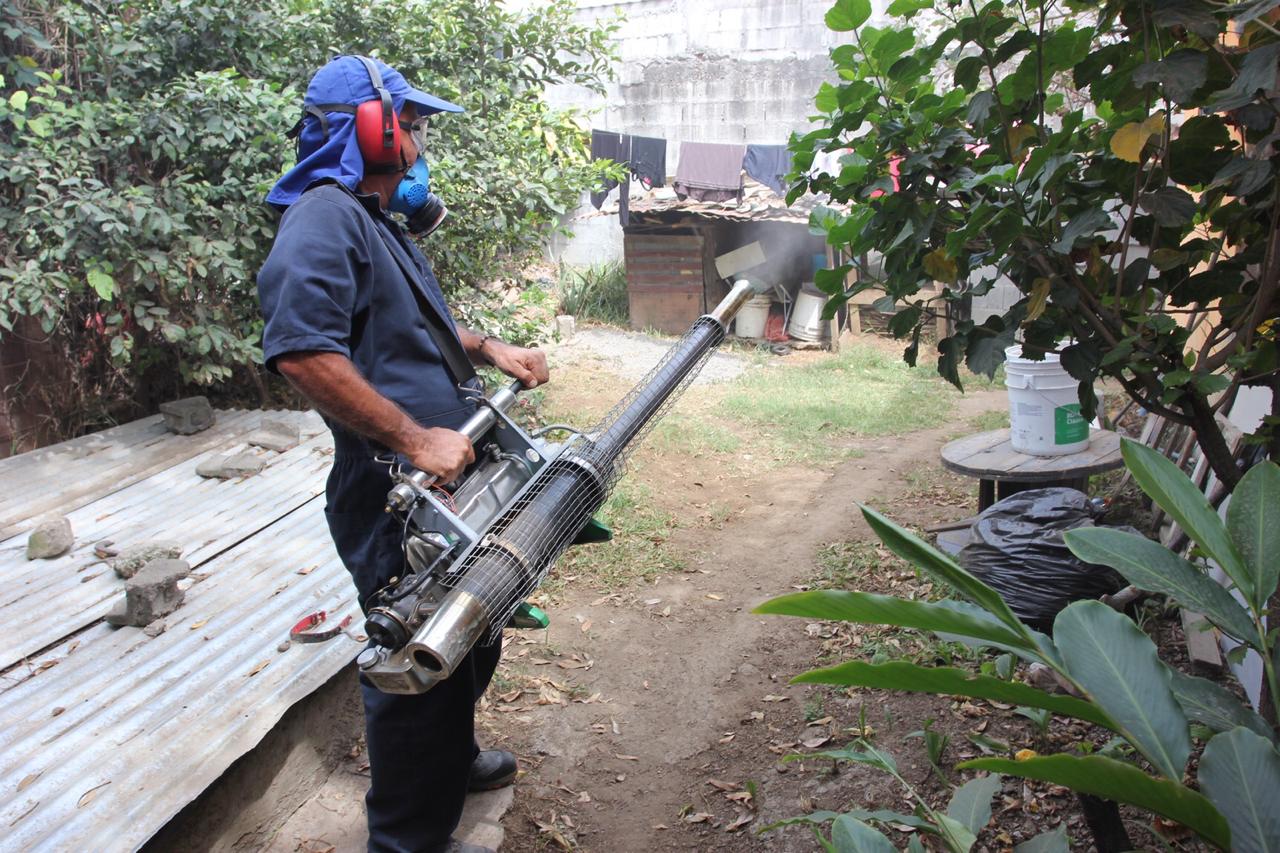 Salud realizará esta semana fumigaciones en San José y Alajuela para contener aumento de casos por dengue
