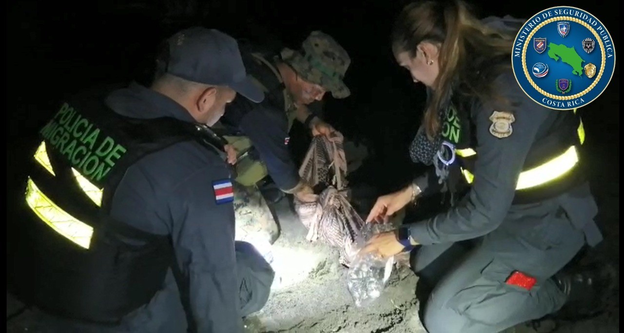 (Video) Policías debieron proteger desove de tortuga baula