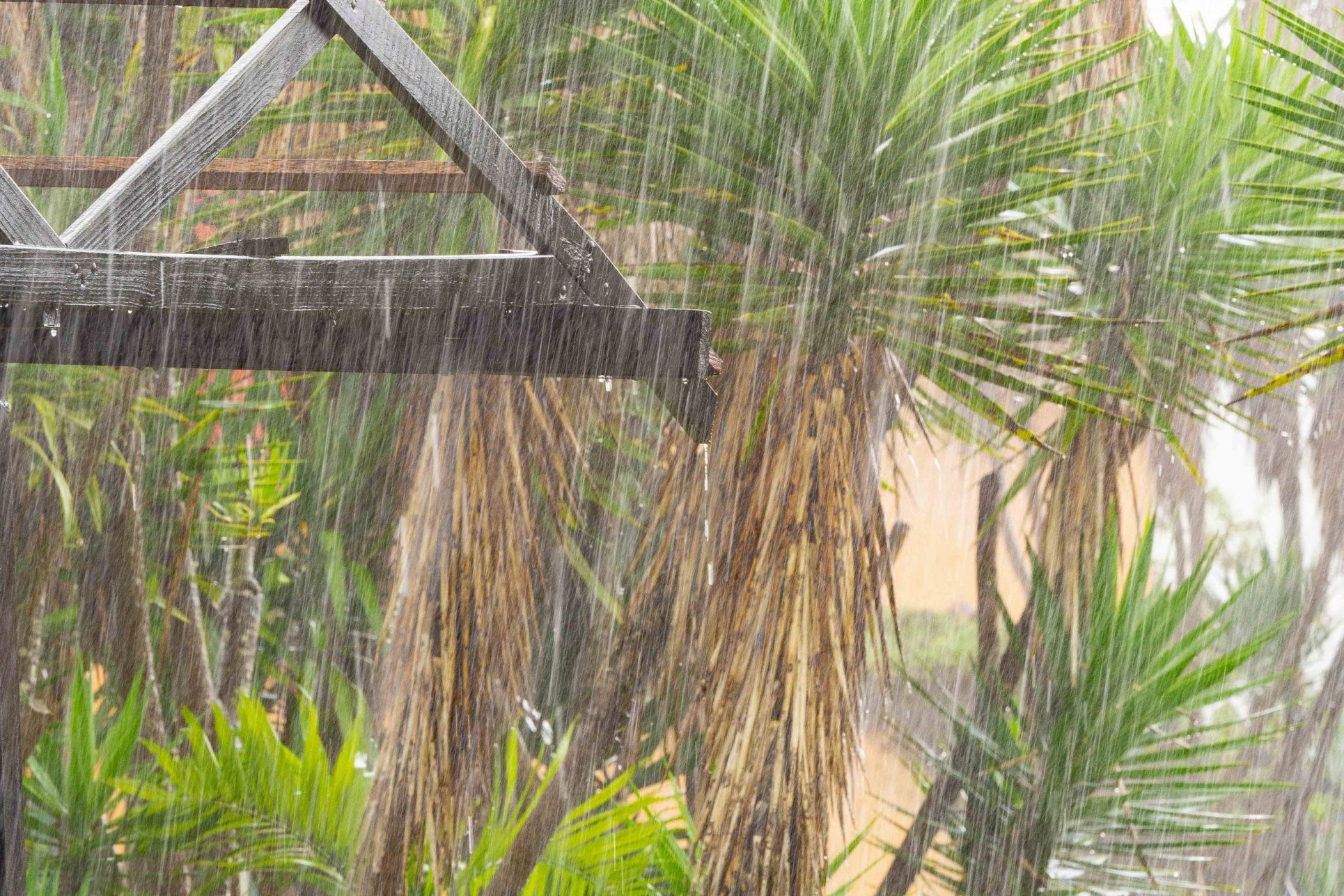 Efectos de primera onda tropical se sentirán la tarde de este jueves en Costa Rica