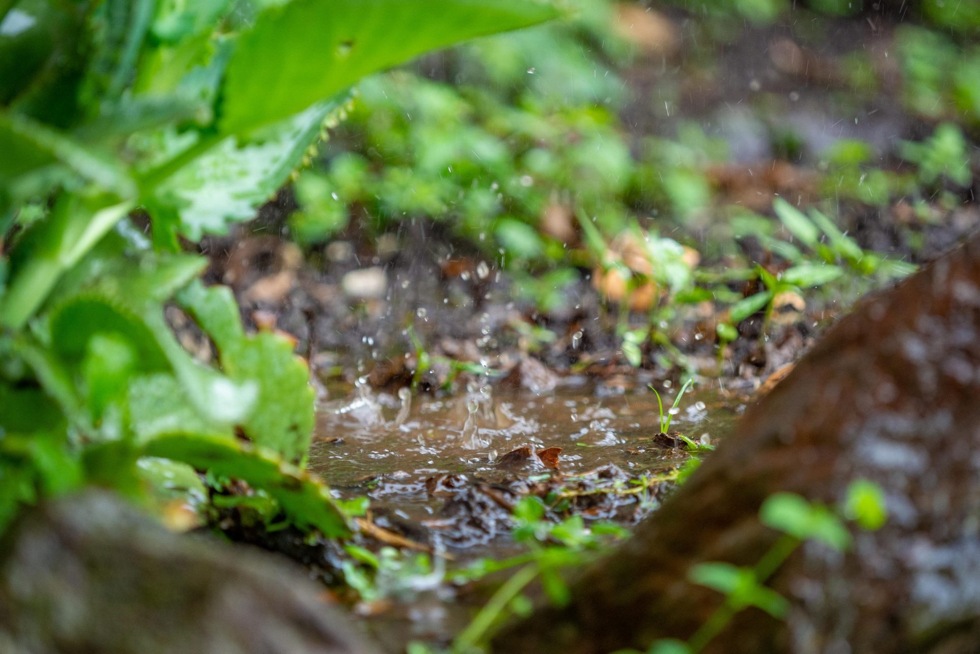 Clima en Costa Rica: lluvias no cesarán el fin de semana