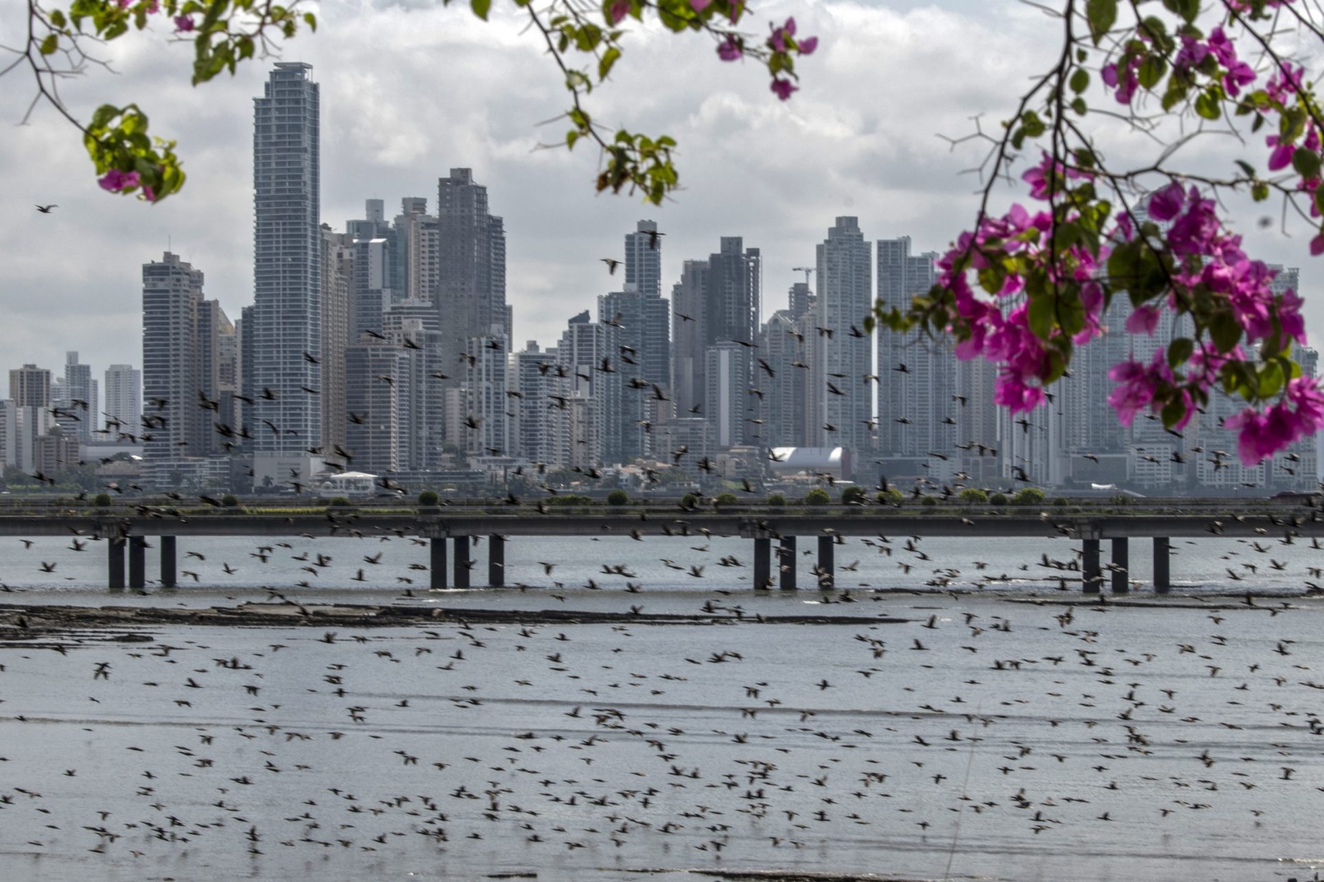 Diputados oficialistas de Panamá se reúnen en restaurante y Salud multa con $100.000 al partido y al local